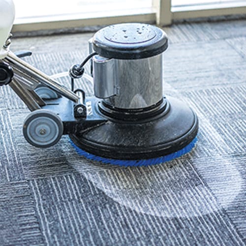 Professional carpet deep cleaning service in Cape Town - hot water extraction and stain removal