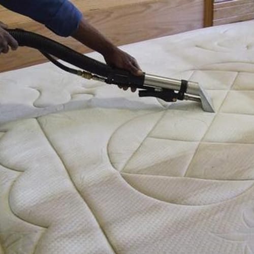 Professional mattress cleaning and sanitizing service in Cape Town - dust mite removal